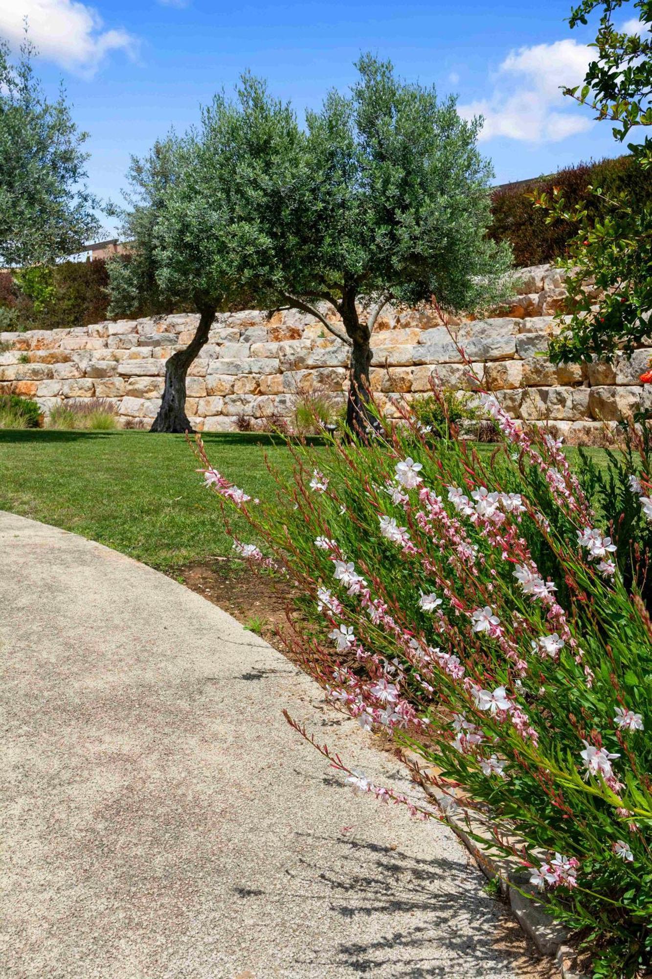 Vale De Milho Village Carvoeiro  Rom bilde